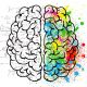 a drawing of the left and right hemisphere of the human brain. One side is coloured the other mathematical equations