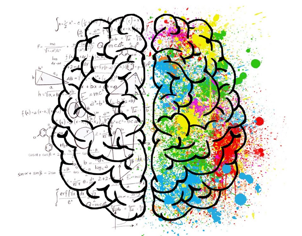 a drawing of the left and right hemisphere of the human brain. One side is coloured the other mathematical equations